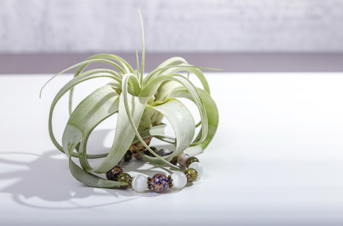 Bracelet ::